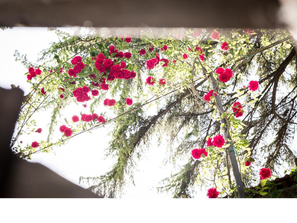 Casa Fiorita Bed & Breakfast Sant'Enea Luaran gambar