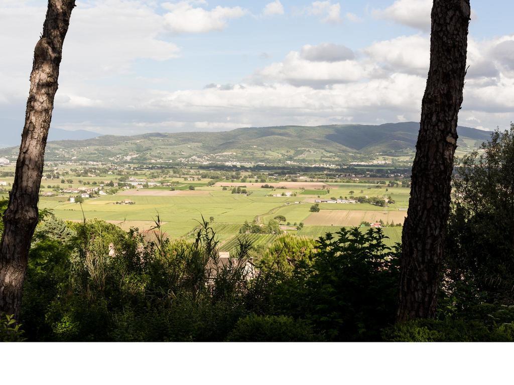 Casa Fiorita Bed & Breakfast Sant'Enea Luaran gambar